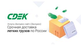 Что можно перевозить СДЭК по России в Дятьково