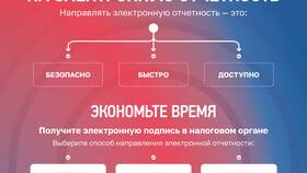Что такое отрицательное сальдо ЕНС простыми словами в Дятьково