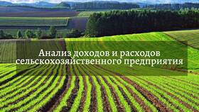 Из чего состоит доход предприятия в Дятьково