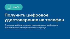 Как оформить сертификат в лагерь через Госуслуги в Дятьково