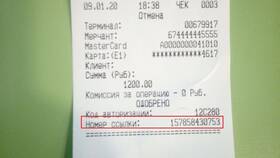 Как отследить платеж по номеру транзакции RRN в Дятьково