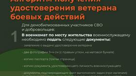 Как подать документы на звание ветерана через Госуслуги в Дятьково