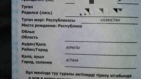 Как получить СНИЛС гражданину Казахстана в Дятьково