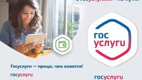 Как ребенку пользоваться Госуслугами в Дятьково