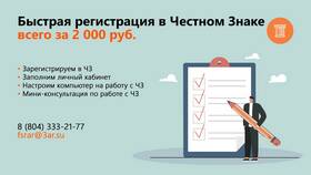 Как зарегистрироваться в системе 