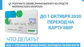 На что влияет Пенсионный фонд в Дятьково