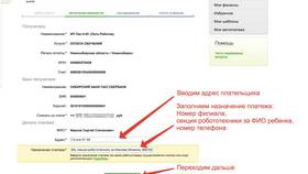 Неверно указали назначение платежа: что делать в Дятьково