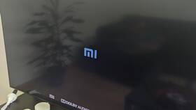 Почему не работает пульт Xiaomi в Дятьково
