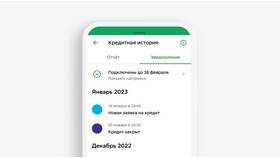Сбербанк не одобряет кредит: причины и альтернативные решения в Дятьково