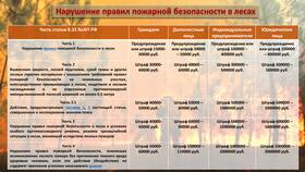 Штраф 50 000 рублей: за какие нарушения ПДД предусмотрено такое наказание в Дятьково
